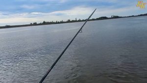 Константин Кузьмин. "Щуки-крокодилы на реке Обь"