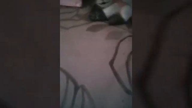 Котики из Солёного теста! смотреть онлайн