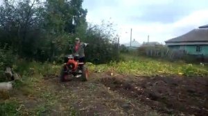 Мотоблок Патриот Бостон 9DE. Уборка картофеля-Тяни- толкай;)