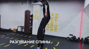 15 лучших упражнений на спину на петлях TRX