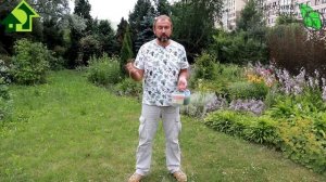 КАК ПРАВИЛЬНО МУЛЬЧИРОВАТЬ ГРЯДКИ ТРАВОЙ. Безопасный компост - высокие урожаи и крепкое здоровье.