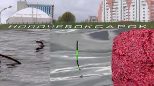 Рыбалка на поплавок, соревнования. Чемпионат Чувашии по ловле рыбы на поплавочную удочку.