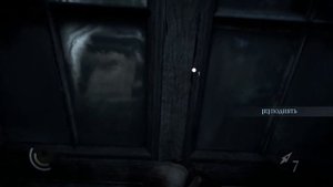 Thief Брошь Ирис Цветы вечности