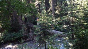 Архыз-Красная Поляна