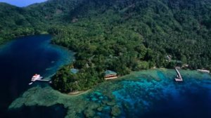 Остров Новая Гвинея.