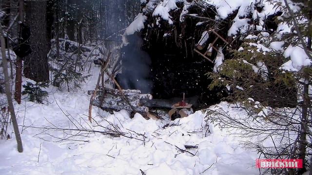 Выживание в лесу/Бушкрафт/ survival/ bushcraft/Forest/лес