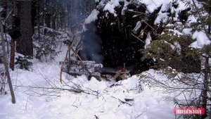 Выживание в лесу/Бушкрафт/ survival/ bushcraft/Forest/лес