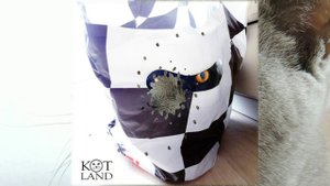 Оторвись По-Полной #Приколы Подборки За Октябрь