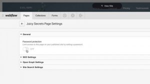 Password protection — Webflow tutorial