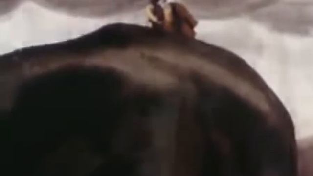 Вересковый мед баллада