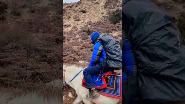 shey phoksundo lake 3678m #funkoproduction #sumitshrestha #sheyphoksundolake #horseriding #nepal