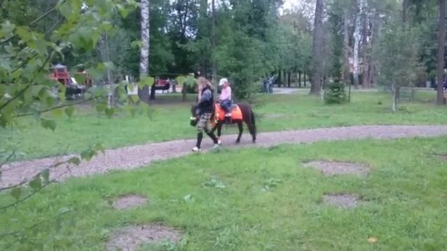 У пони длинная челка