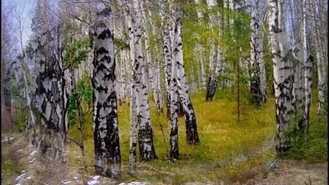 Березовый сок - ВИА "Песняры" смотреть онлайн