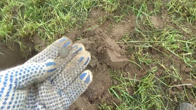 КОП ПО СТАРИНЕ, АГРОНОМ ПРОГНАЛ ИЗ-ЗА МНОГОЛЕТНЕЙ ТРАВЫ смотреть онлайн