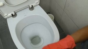 Как  очистить УНИТАЗ от известкового НАЛЁТАи МОЧЕВОГО камня без усилий! Способ проверен и работает!