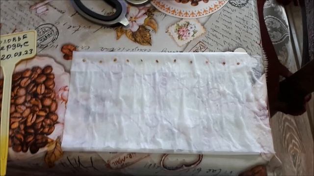 Vlog/Мстю Озону/ Рассада..чем поливаю/Готовлю вкуснющий паштет из куриной печени...