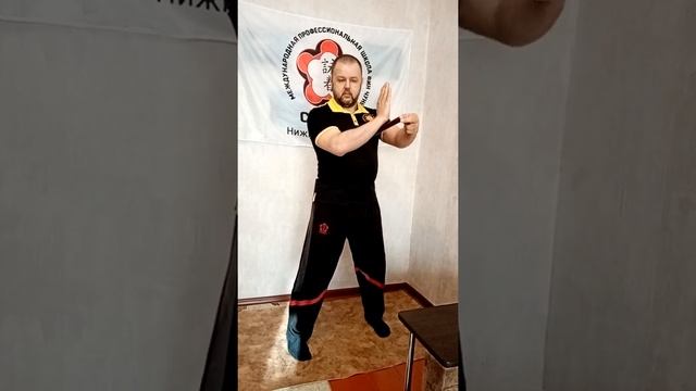 Stikhiya Wing Chun. Ву Сао 护手 . Назначение и особенности исполнения. смотреть онлайн