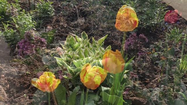 Весна .3 минуты весны . смотреть онлайн