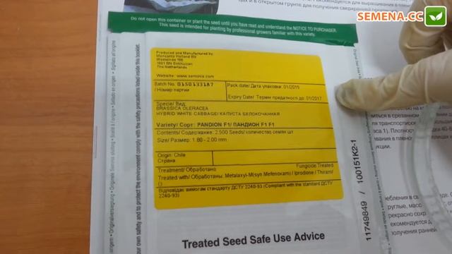 Антифейк капуста Пандион Seminis смотреть онлайн