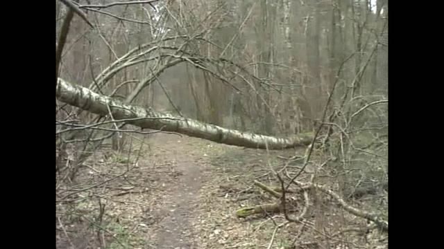 ПОСЛЕ БУРИ.avi смотреть онлайн