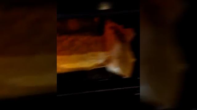 Zepsuty piekarnik BEKO смотреть онлайн