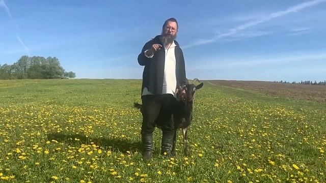 Эксклюзив от Германа Стерлинга – БИРЖА КОЗ в Слободе.