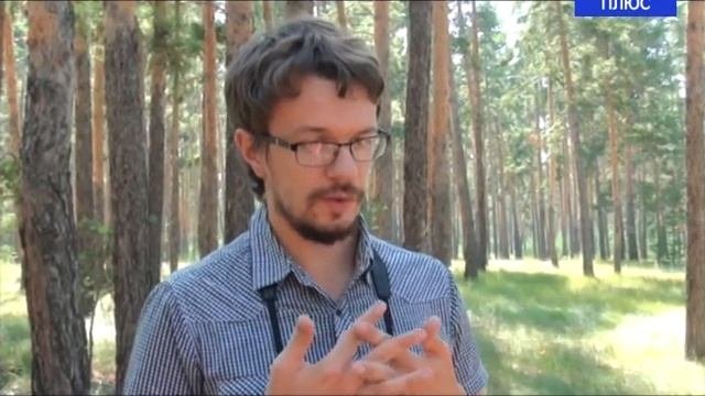 На территории Михайловского района планируется создание заказника