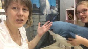 Как мы снимаем видео на Ютуб для канала Семейка Басиков / Мисс Фаина Влог