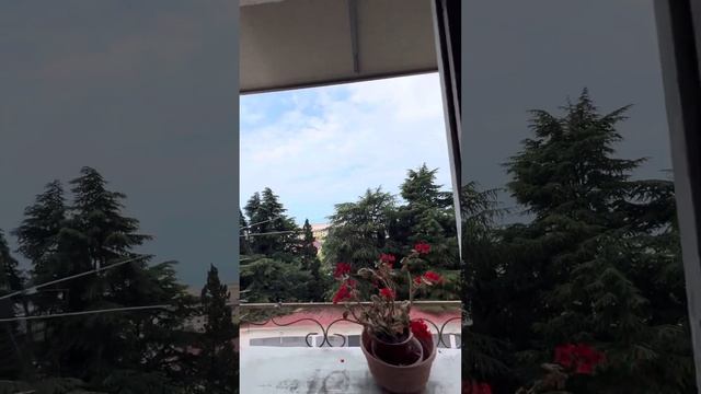 Квартира под ремонт на ул. Голубые дали смотреть онлайн