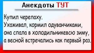 Анекдот шоу Анекдоты от а до я Выпуск #2 про IQ кота