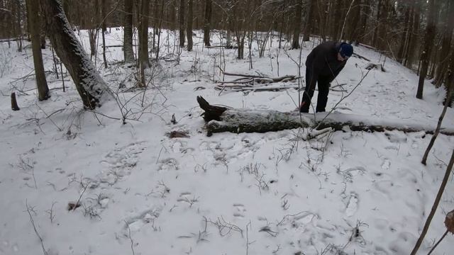 ЗИМНЯЯ НОЧЕВКА в лесу в шалаше. Пеший поход на два дня. Экстремальное путешествие!