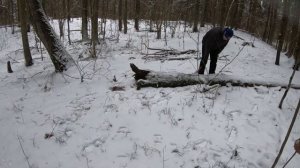 ЗИМНЯЯ НОЧЕВКА в лесу в шалаше. Пеший поход на два дня. Экстремальное путешествие!