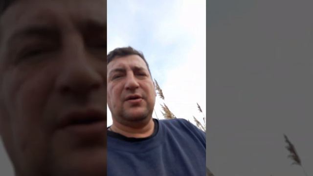 рыбалка,ноябрь,зонтик,ракаловка. смотреть онлайн