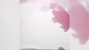 —Edit/Эдит  И.Н.М.Т/CFMOT  [икраткий]