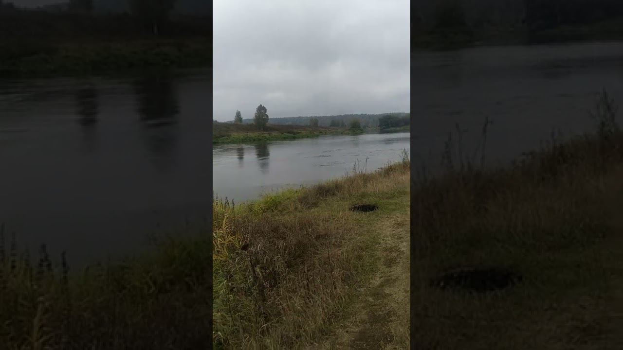 23 сентября 2022 г. смотреть онлайн