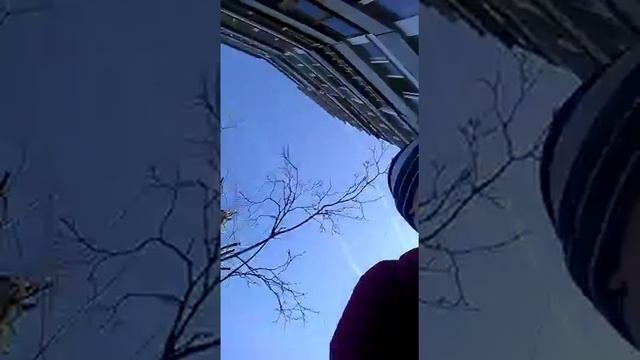 Что будет с не ньютоновской жидкостью если скинуть её с 10 этажа