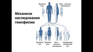Лекция 19.
Фарм_Стом.
Гемостаз сокращенная без ДВС.