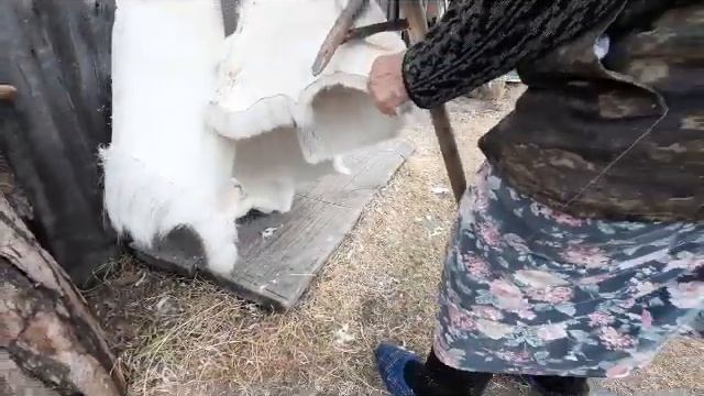 выделка шкуры оленя традицинным способом смотреть онлайн