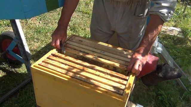 подсадка плодной матки 7 июня смотреть онлайн