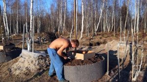 ПОСАДКА ЯБЛОНИ (ДО ГРУНТОВЫХ ВОД 1 МЕТР)