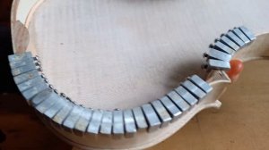 Лак Страдивари из прополиса