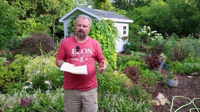 Garden Q and A - What to Avoid on Clearance Plants, Summer Transplanting, Leyland Close to House смотреть онлайн