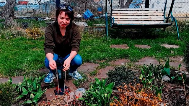 КЛУМБА С ХВОЙНЫМИ И РОЗОЙ? КАК СДЕЛАТЬ КЛУМБУ КРАСИВОЙ в любое время года