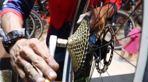 DREAM BUILD "The Black Eagle" Dartmoor Hornet