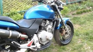 Продам хорнет