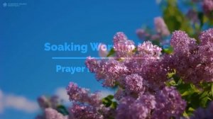 3 часа   Пропитка ♫ Музыка для Молитвы и Поклонения ▸ Soaking Music