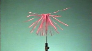 СУЛТАНЫ.ФИЗИКА.ХРОНИКА