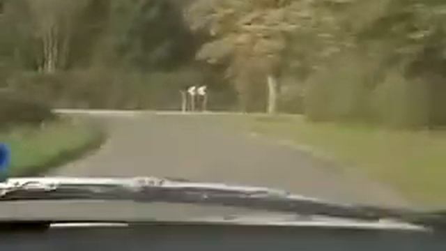 OLD FEOC-UK.com VIDS SERIES Jesus Built my Hotrod RS2000 4x4