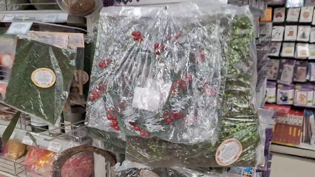 Прогулка по новогоднему Леонардо // плюсы Offline магазина // ДАРЮ ПОДАРОК смотреть онлайн