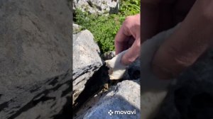 Нагой кош каменное море